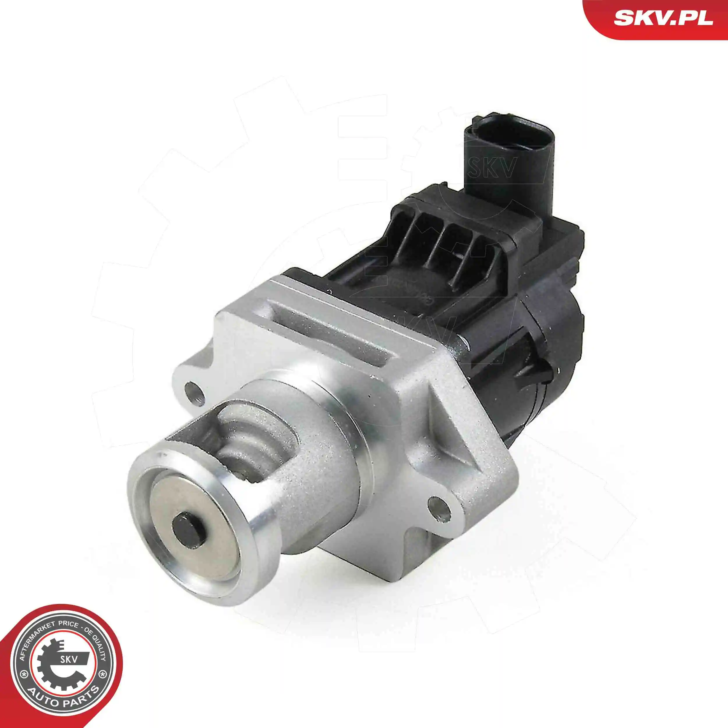 EGR Valve